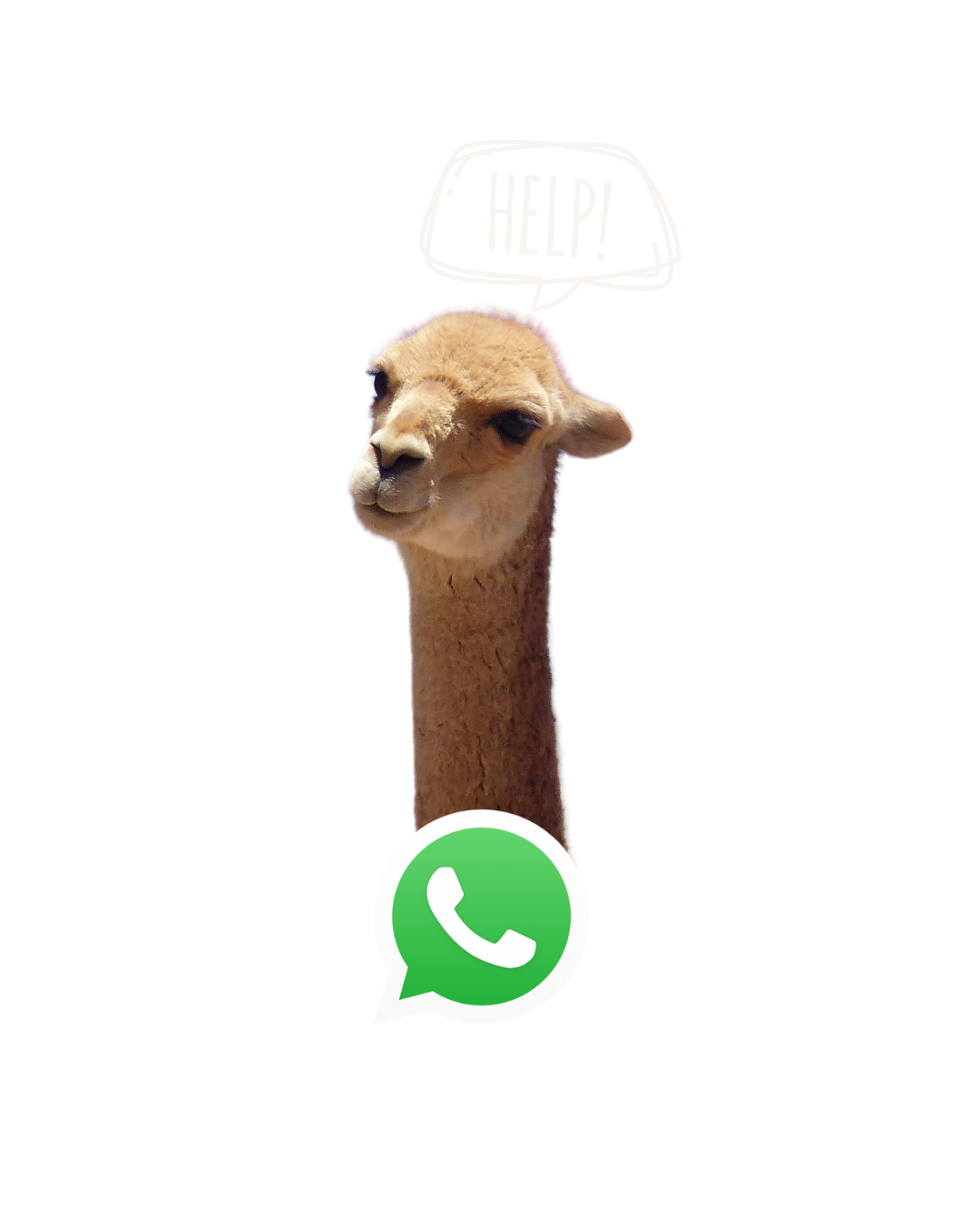 ¿Necesitas ayuda? Escríbenos por WhatsApp